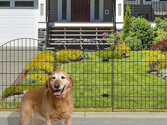 wrought-iron-gate.jpg